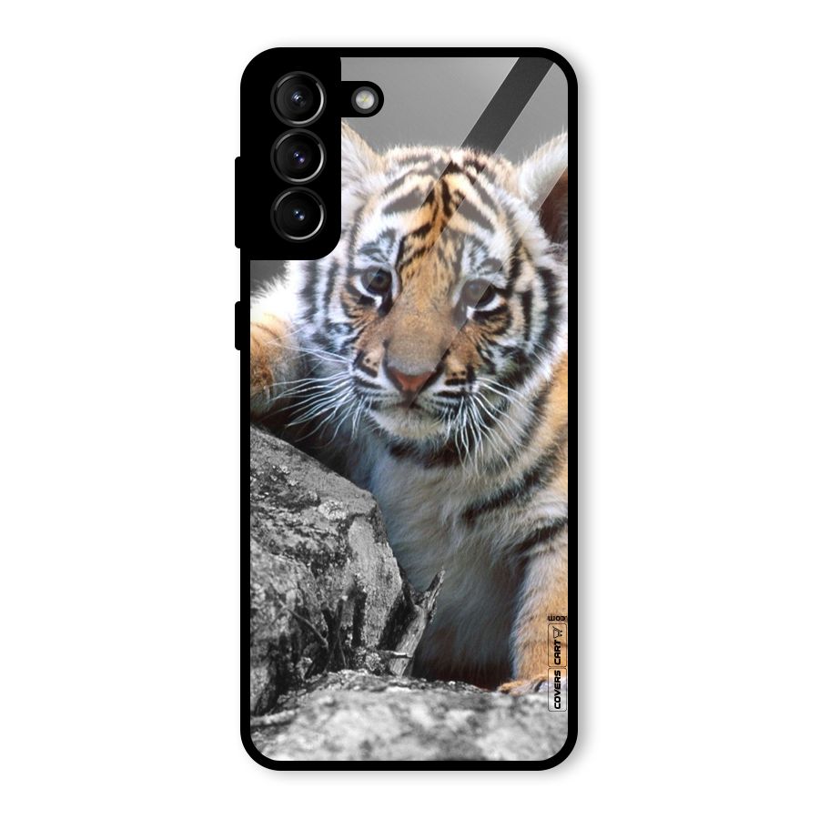 Animal Beauty Glass Back Case for Galaxy S21 Plus