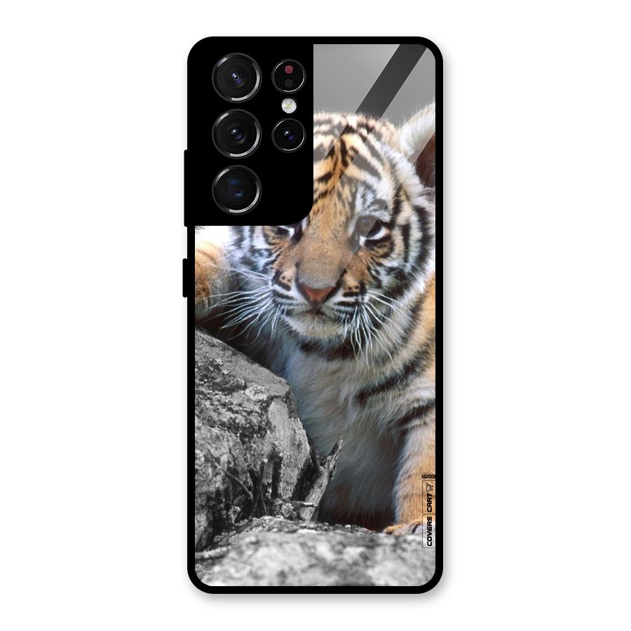 Animal Beauty Glass Back Case for Galaxy S21 Ultra 5G