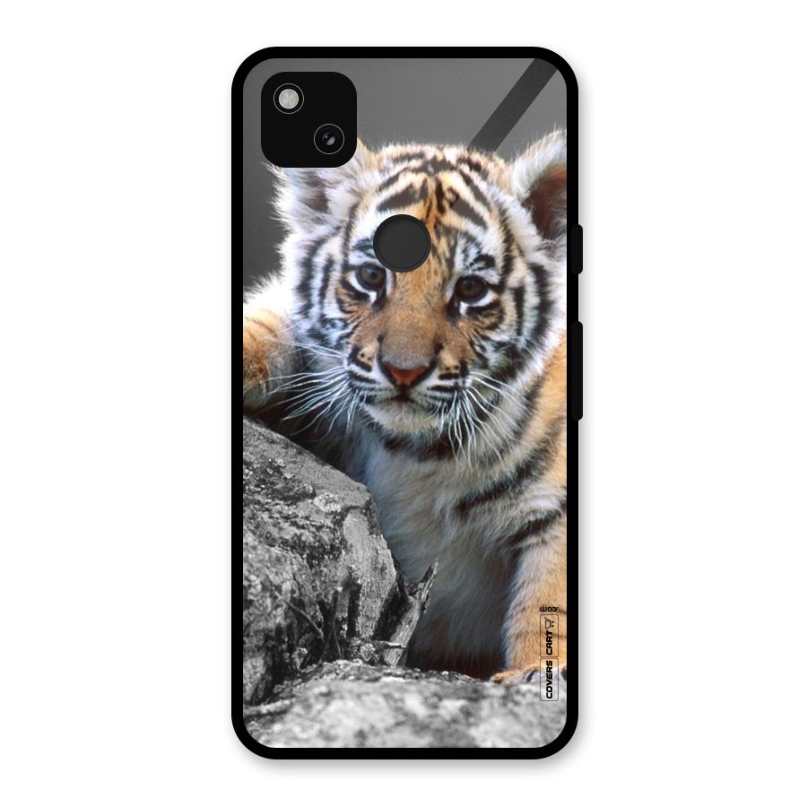 Animal Beauty Glass Back Case for Google Pixel 4a