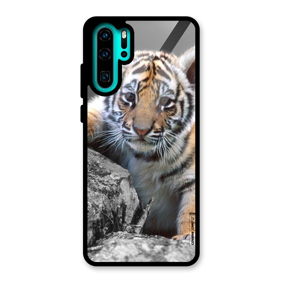 Animal Beauty Glass Back Case for Huawei P30 Pro