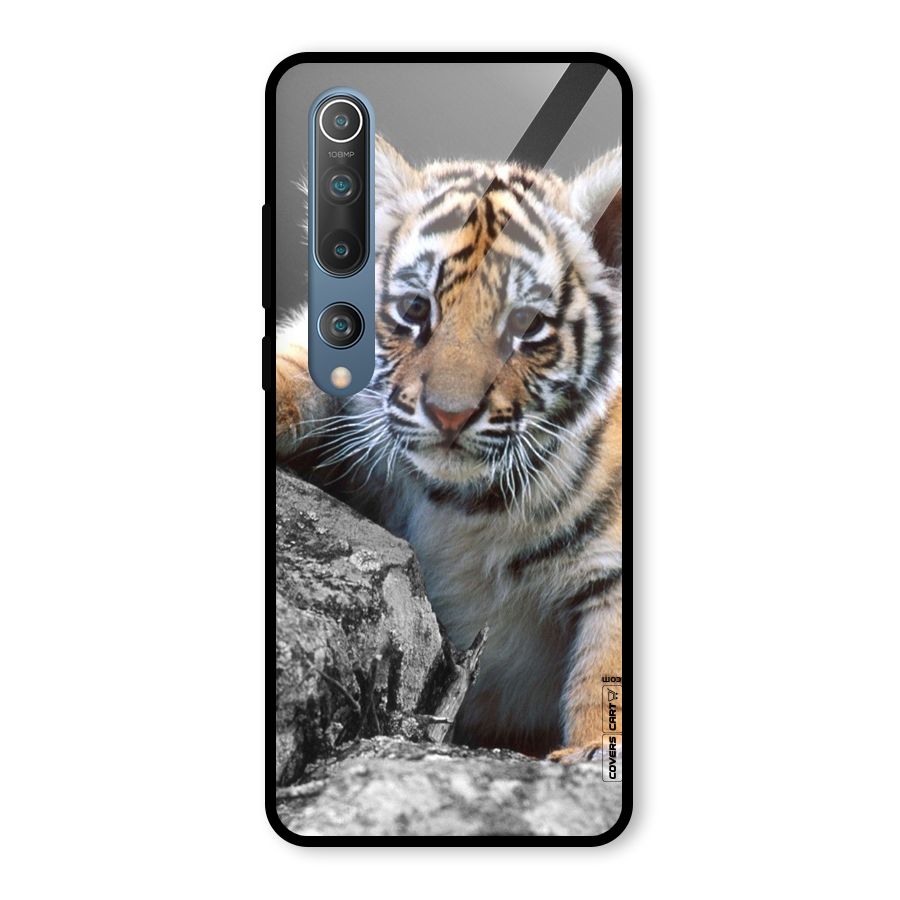 Animal Beauty Glass Back Case for Mi 10