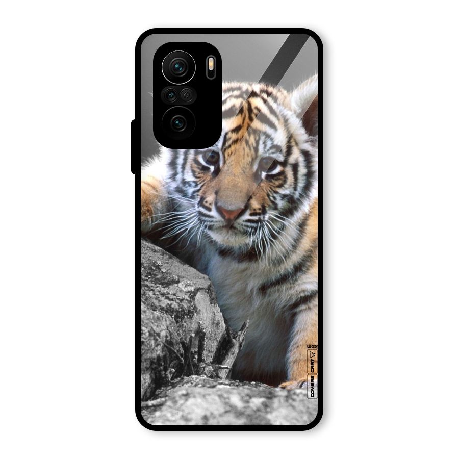 Animal Beauty Glass Back Case for Mi 11X Pro