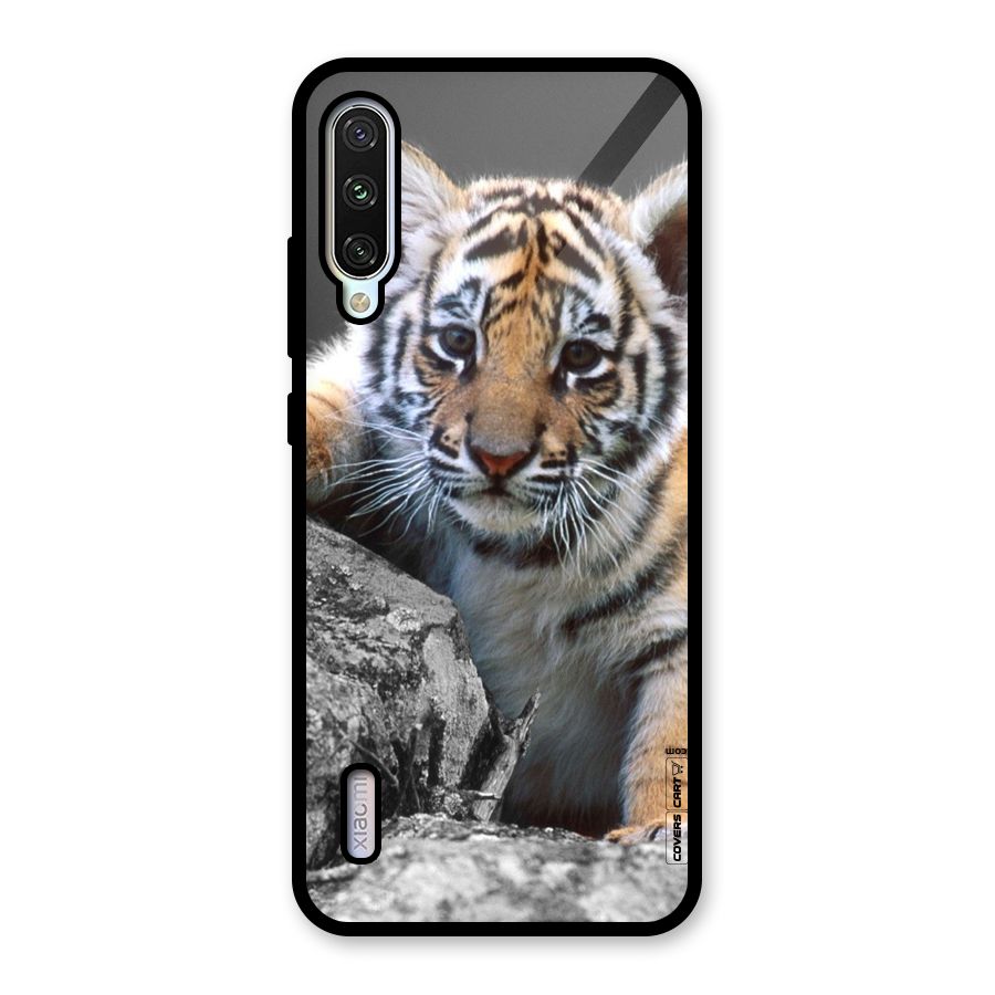 Animal Beauty Glass Back Case for Mi A3