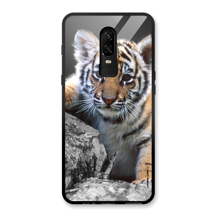 Animal Beauty Glass Back Case for OnePlus 6