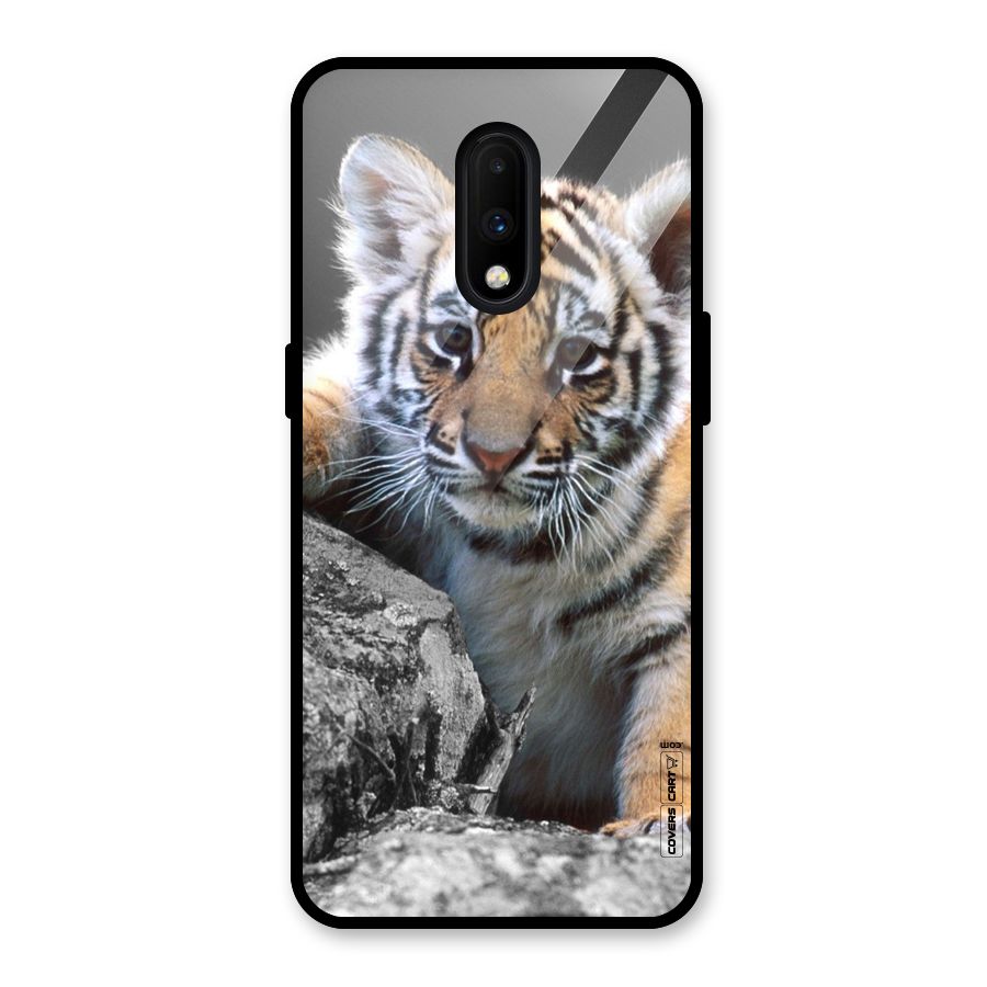 Animal Beauty Glass Back Case for OnePlus 7