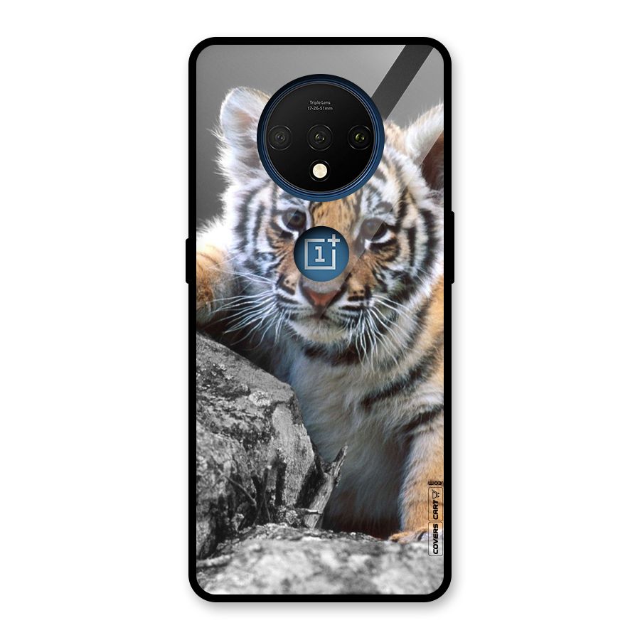 Animal Beauty Glass Back Case for OnePlus 7T