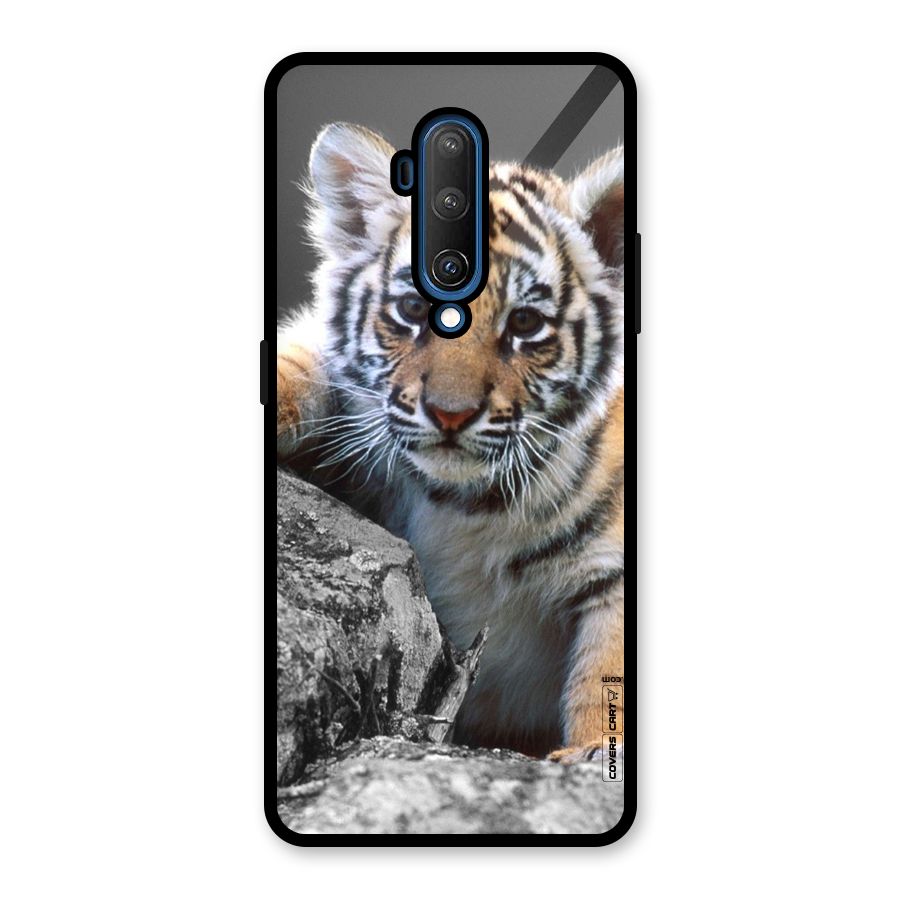 Animal Beauty Glass Back Case for OnePlus 7T Pro