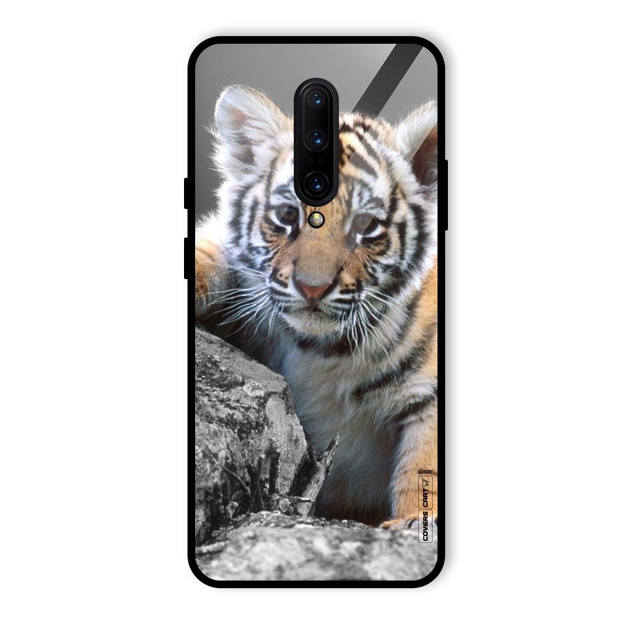Animal Beauty Glass Back Case for OnePlus 7 Pro