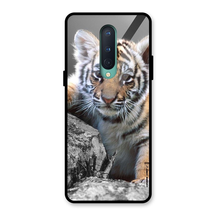 Animal Beauty Glass Back Case for OnePlus 8