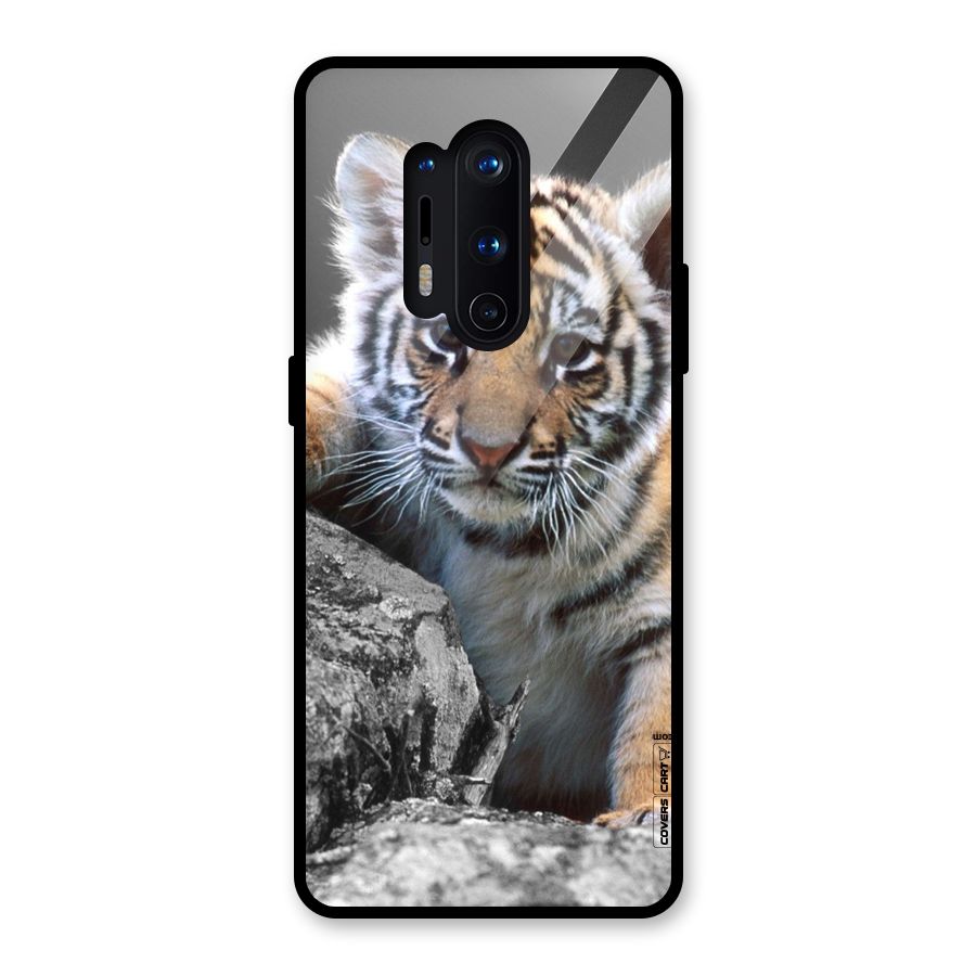 Animal Beauty Glass Back Case for OnePlus 8 Pro