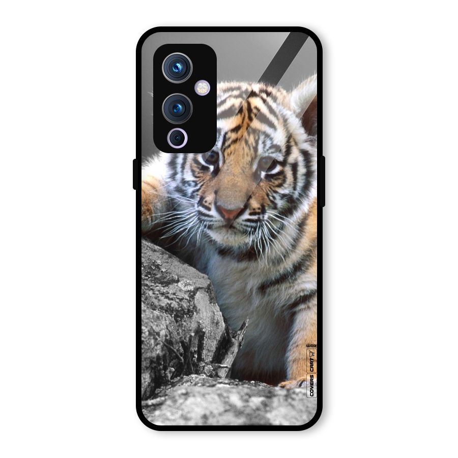 Animal Beauty Glass Back Case for OnePlus 9