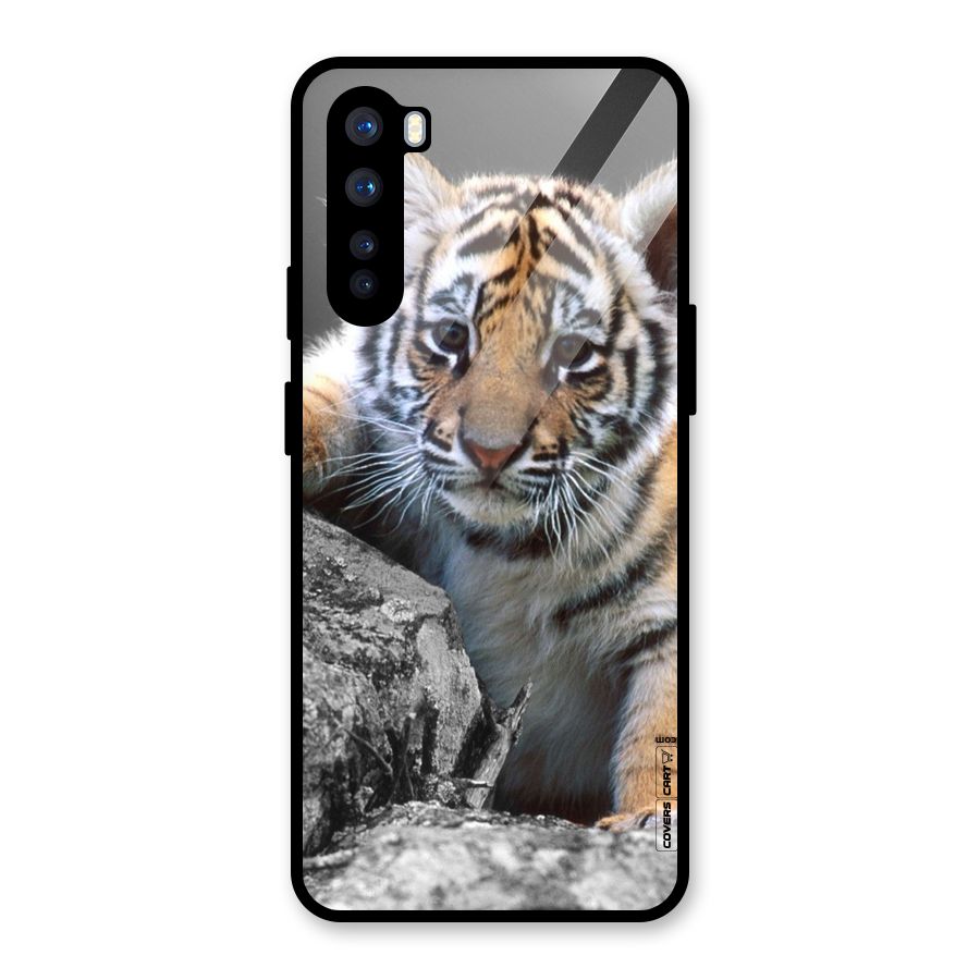 Animal Beauty Glass Back Case for OnePlus Nord