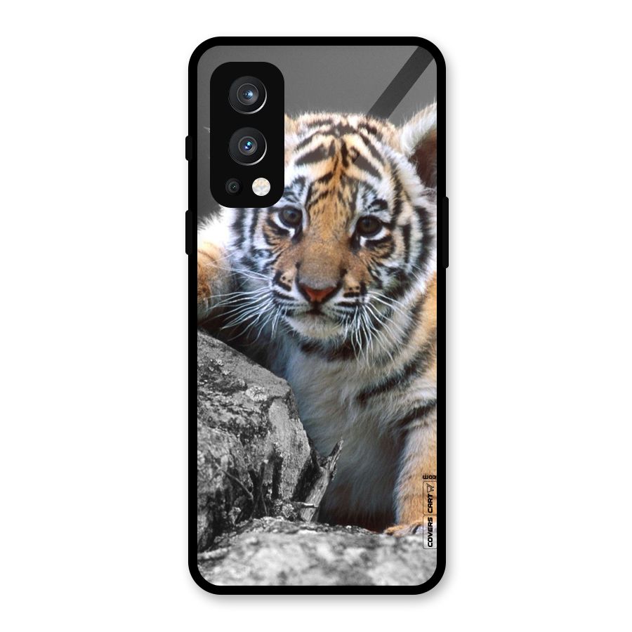 Animal Beauty Glass Back Case for OnePlus Nord 2 5G