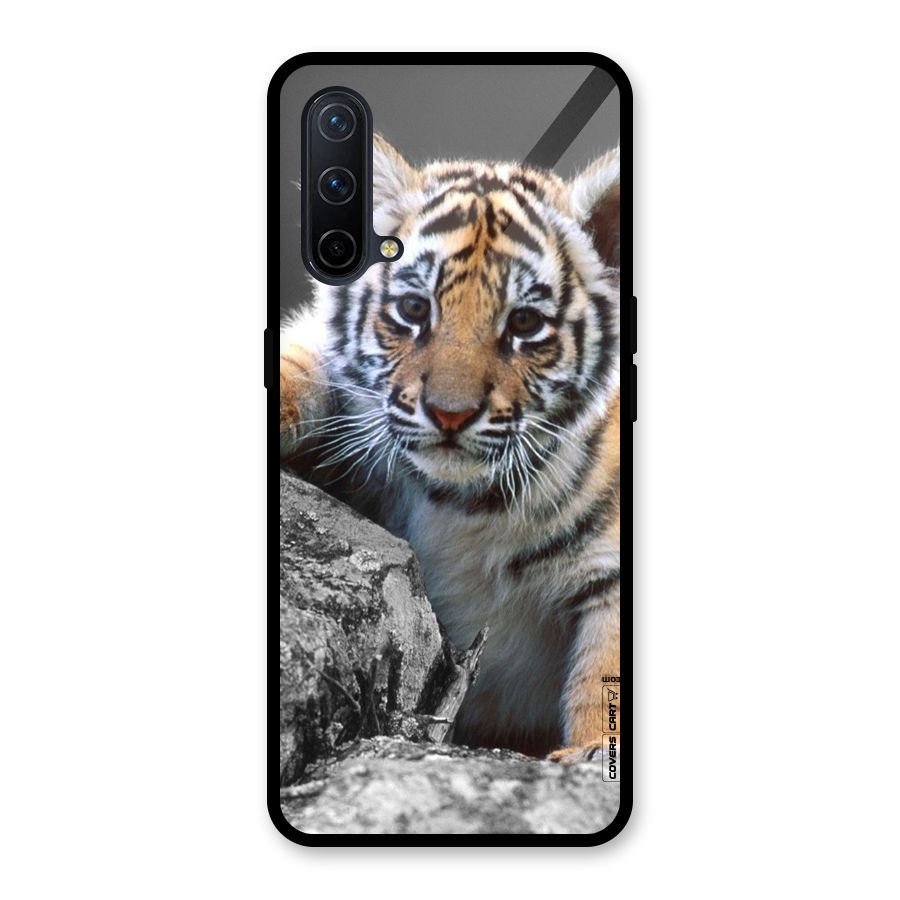 Animal Beauty Glass Back Case for OnePlus Nord CE 5G