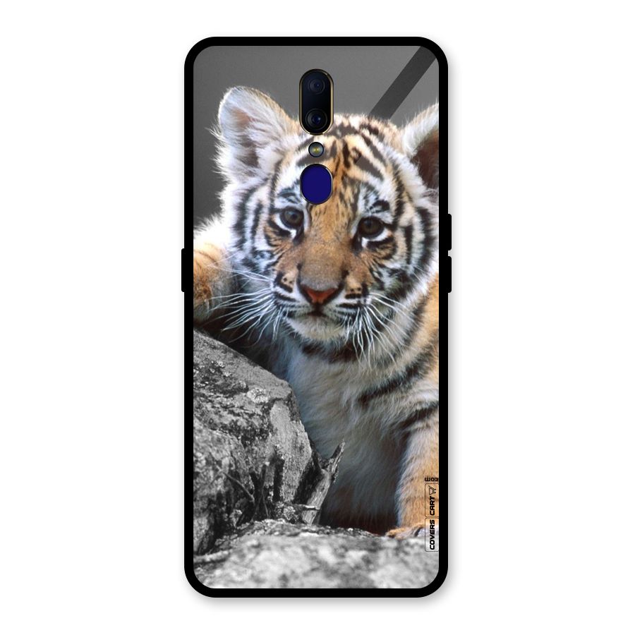 Animal Beauty Glass Back Case for Oppo F11