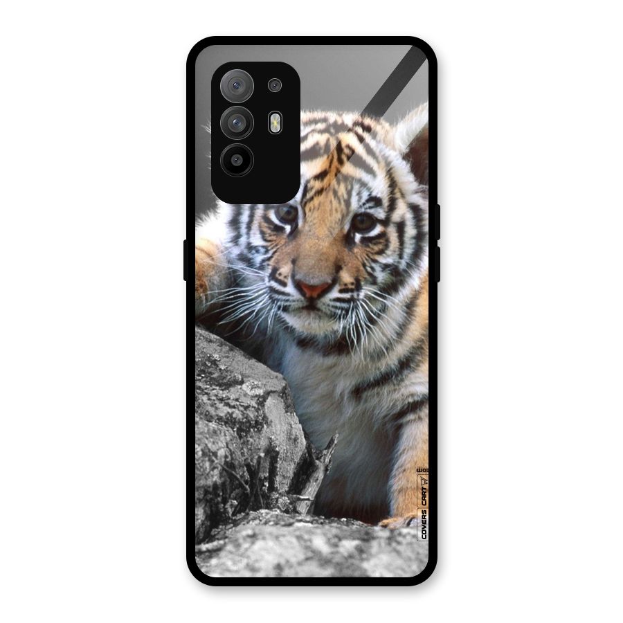 Animal Beauty Glass Back Case for Oppo F19 Pro Plus 5G