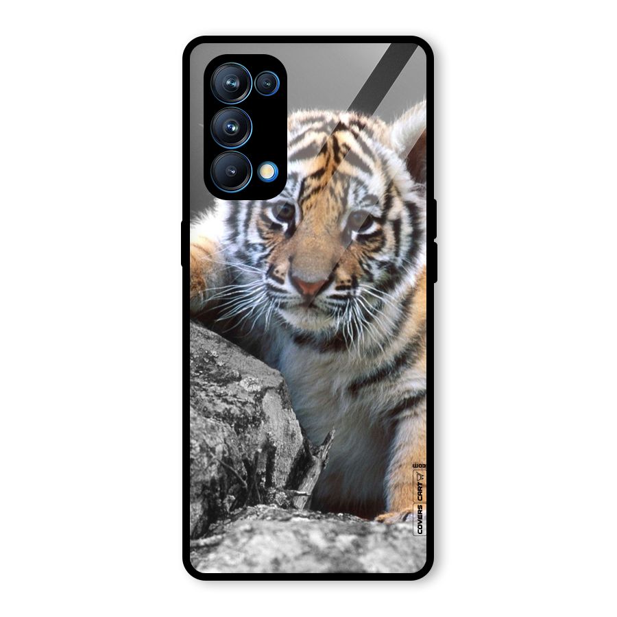 Animal Beauty Glass Back Case for Oppo Reno5 Pro 5G