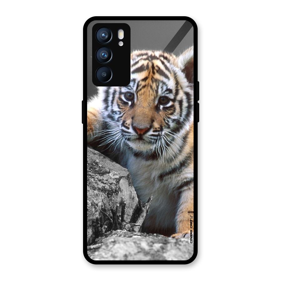 Animal Beauty Glass Back Case for Oppo Reno6 5G