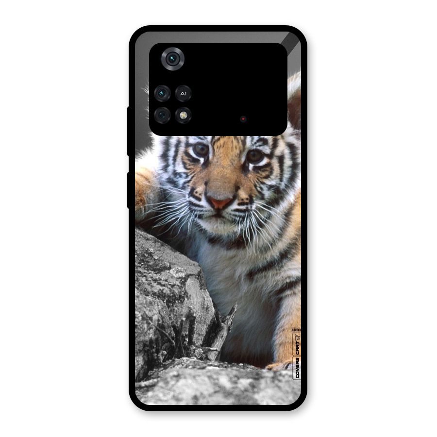 Animal Beauty Glass Back Case for Poco M4 Pro 4G