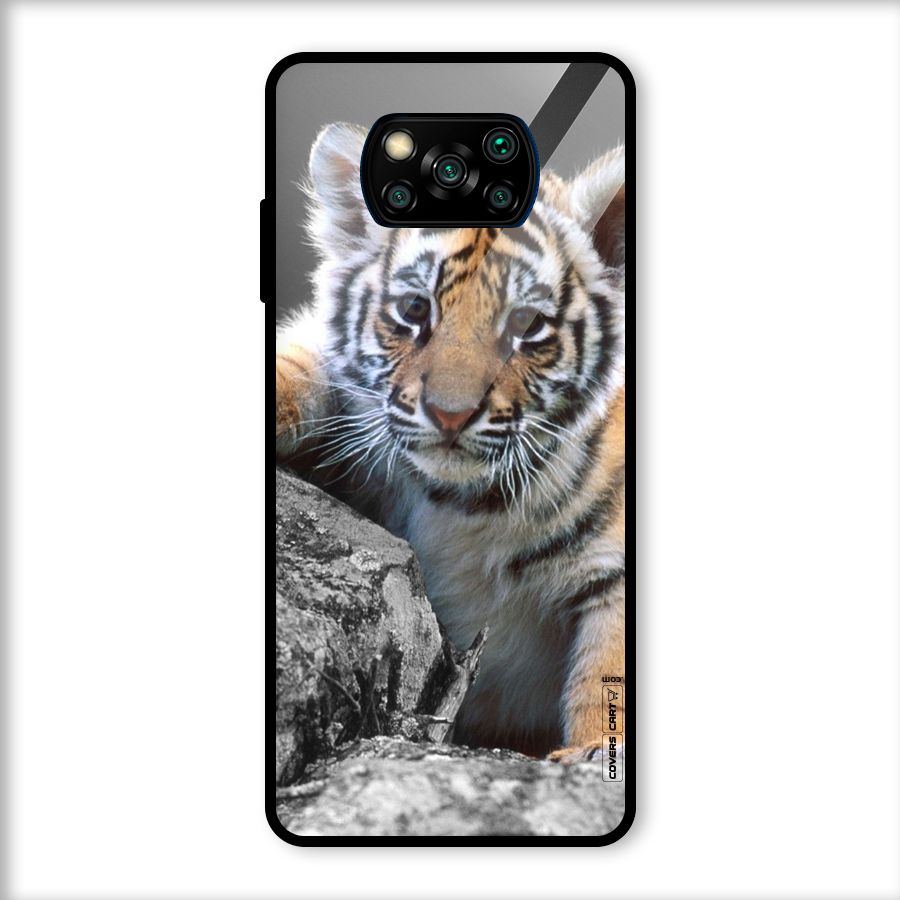 Animal Beauty Glass Back Case for Poco X3