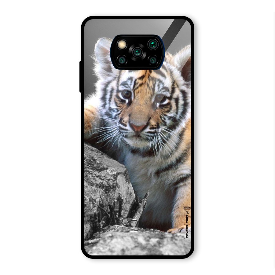 Animal Beauty Glass Back Case for Poco X3 Pro