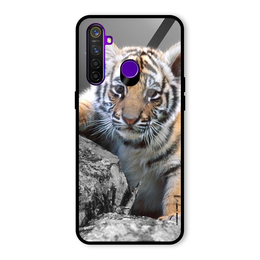 Animal Beauty Glass Back Case for Realme 5 Pro