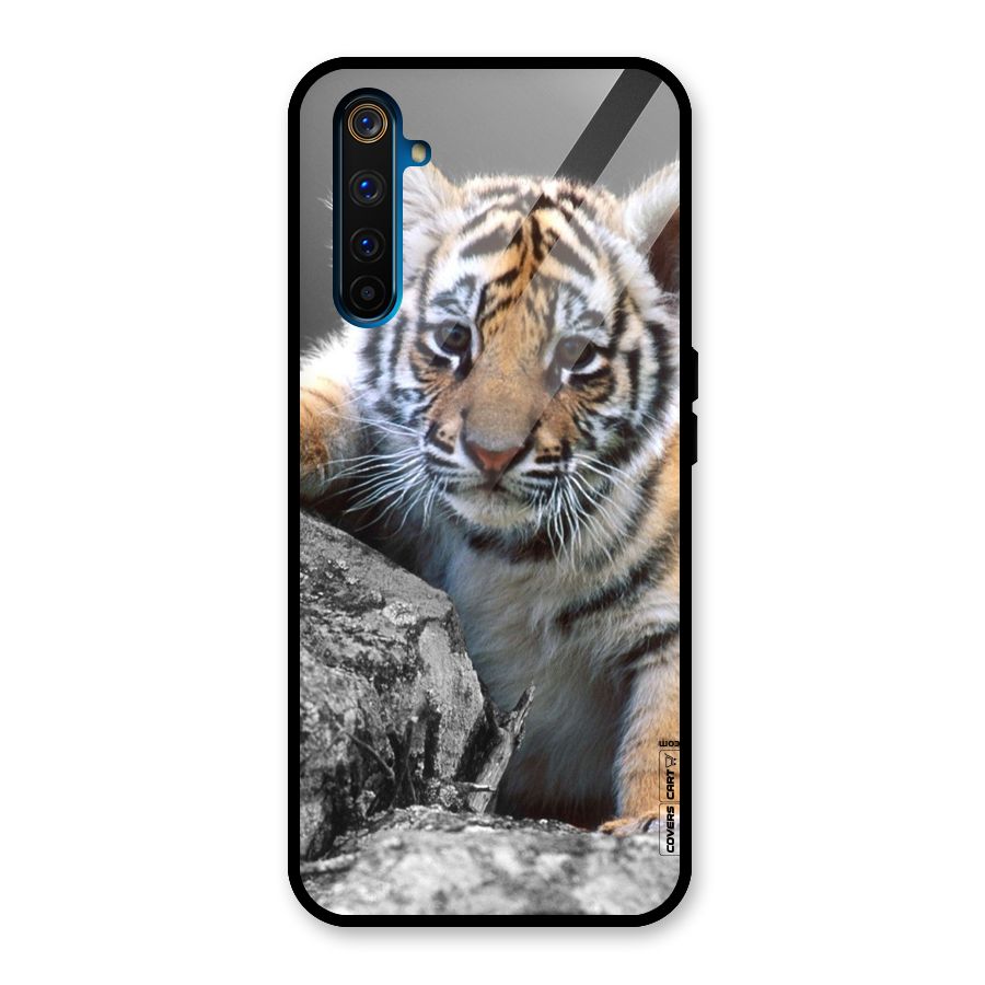 Animal Beauty Glass Back Case for Realme 6 Pro