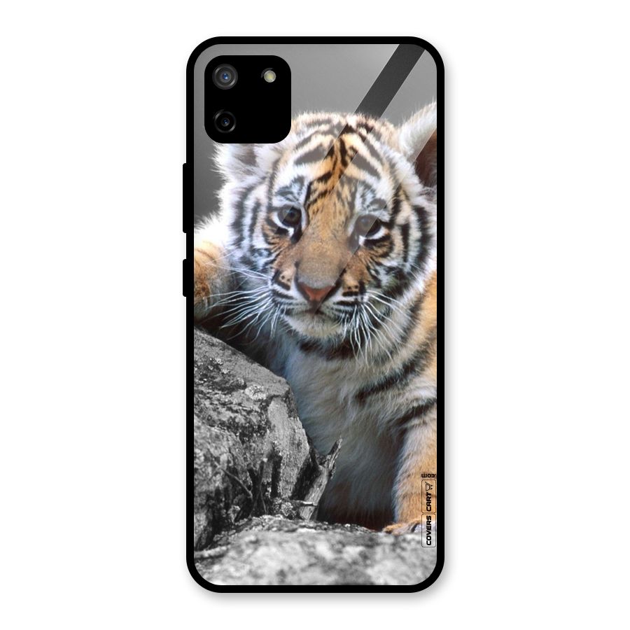 Animal Beauty Glass Back Case for Realme C11