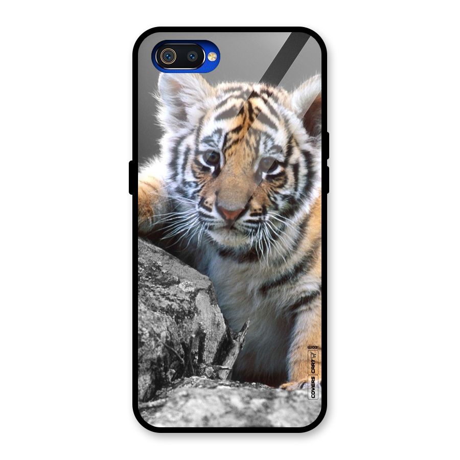Animal Beauty Glass Back Case for Realme C2