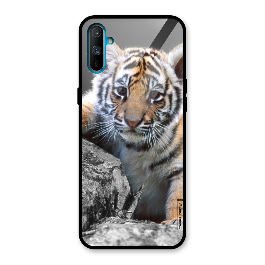 Animal Beauty Glass Back Case for Realme C3