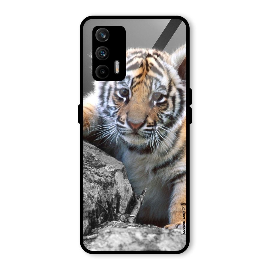 Animal Beauty Glass Back Case for Realme GT 5G