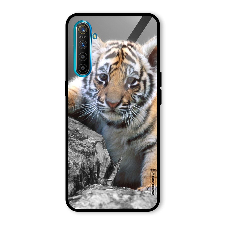 Animal Beauty Glass Back Case for Realme X2