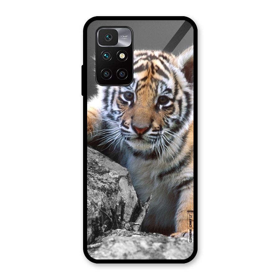 Animal Beauty Glass Back Case for Redmi 10 Prime