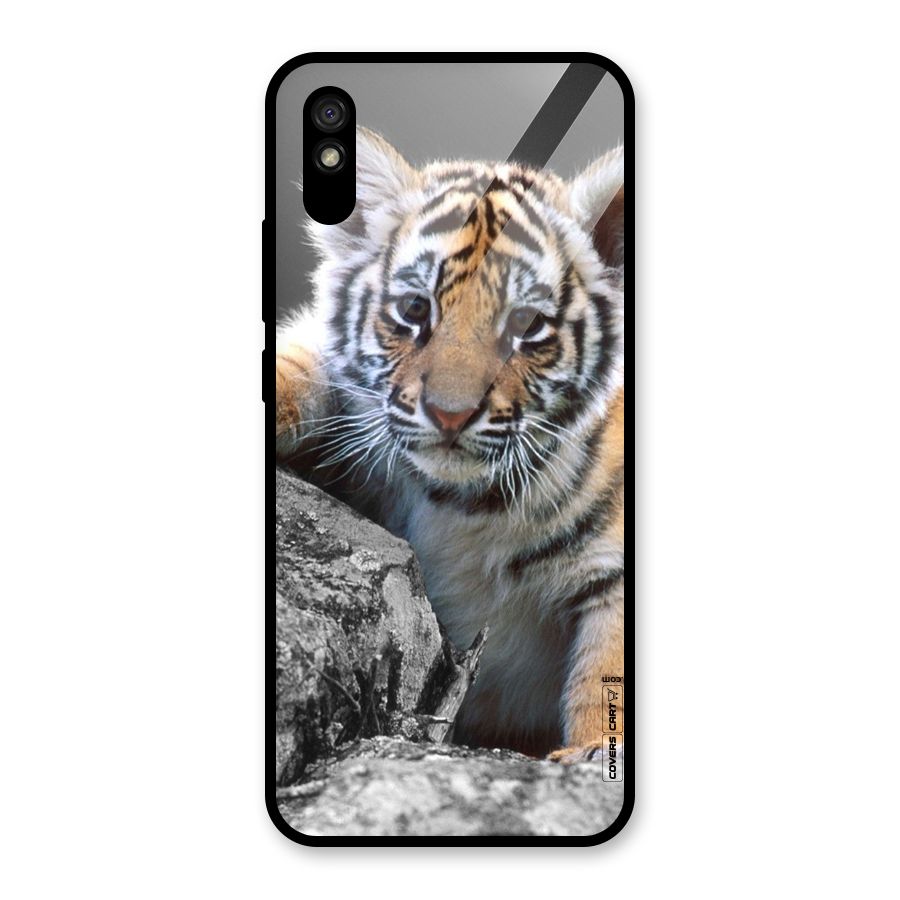 Animal Beauty Glass Back Case for Redmi 9A