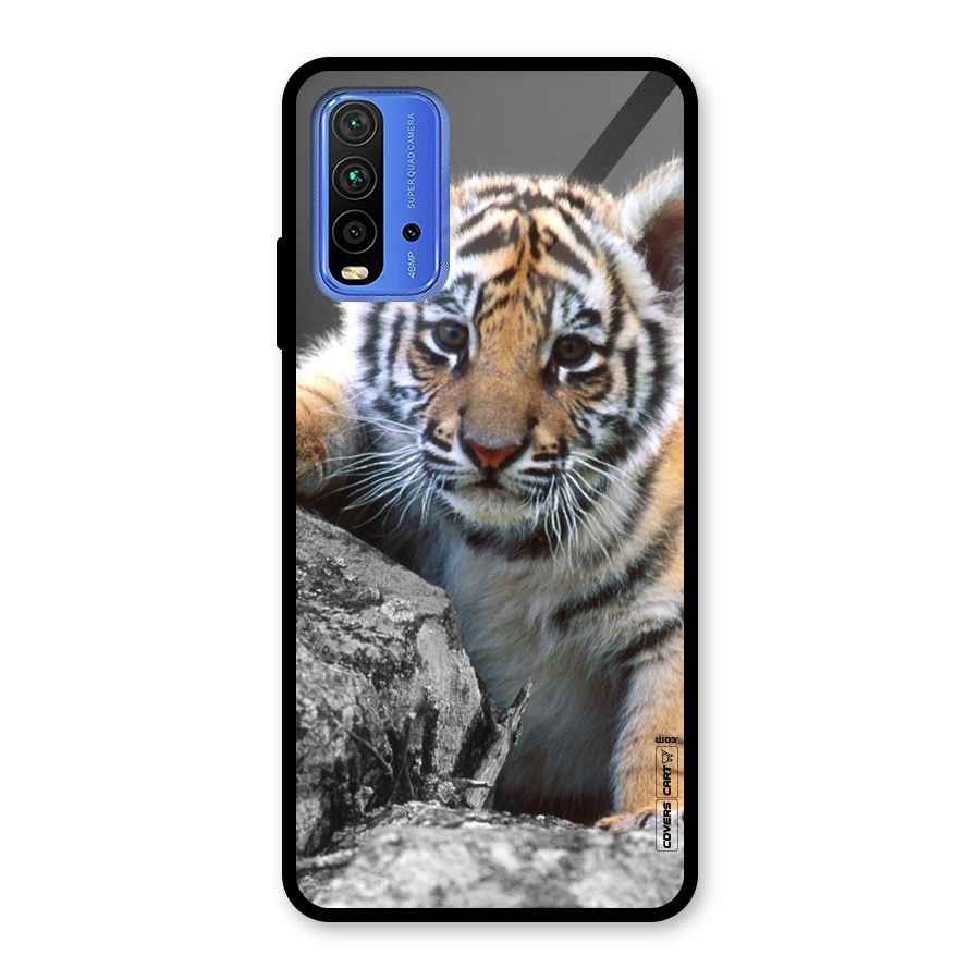 Animal Beauty Glass Back Case for Redmi 9 Power