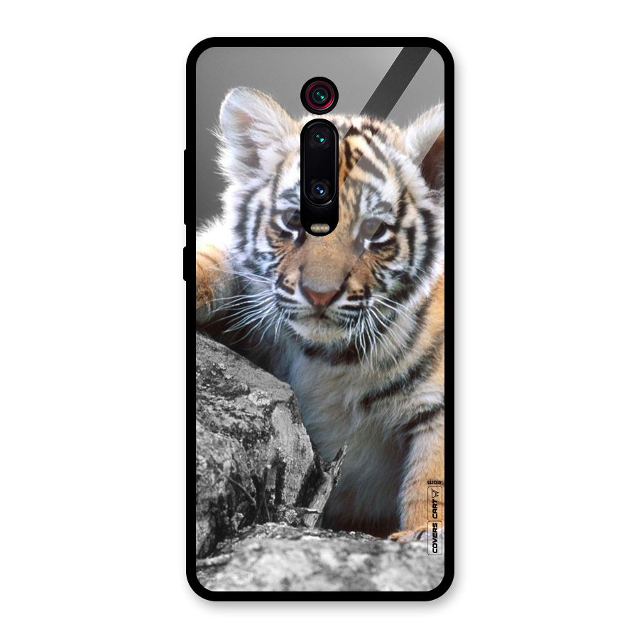 Animal Beauty Glass Back Case for Redmi K20