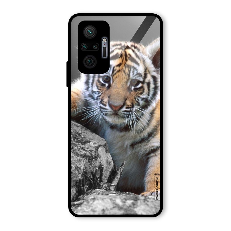Animal Beauty Glass Back Case for Redmi Note 10 Pro