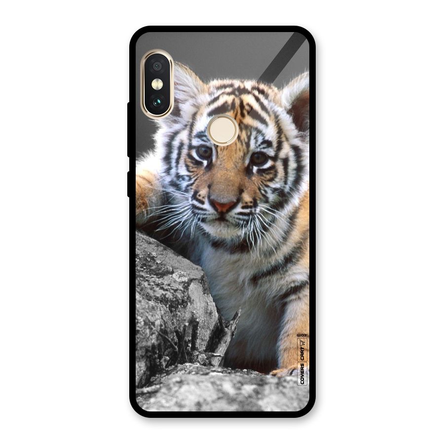 Animal Beauty Glass Back Case for Redmi Note 5 Pro
