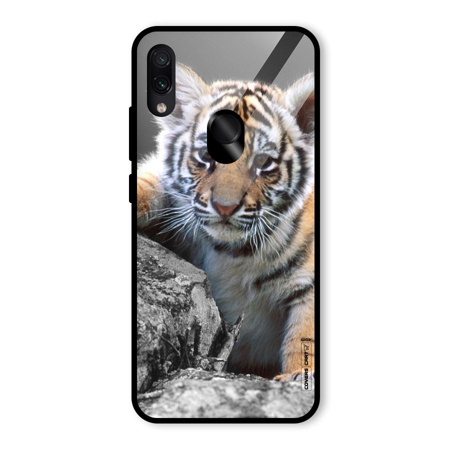 Animal Beauty Glass Back Case for Redmi Note 7 Pro