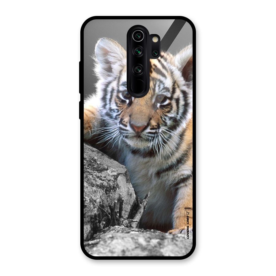 Animal Beauty Glass Back Case for Redmi Note 8 Pro