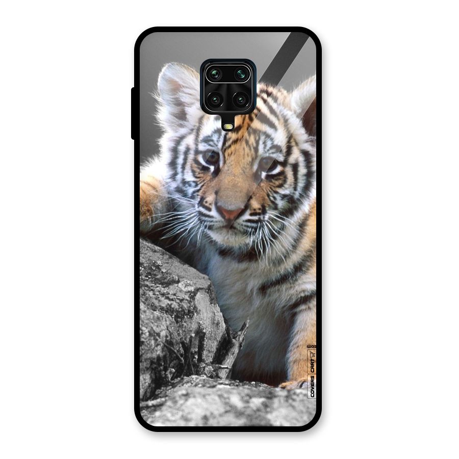 Animal Beauty Glass Back Case for Redmi Note 9 Pro