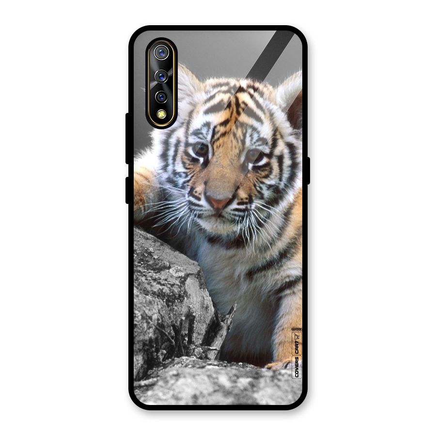 Animal Beauty Glass Back Case for Vivo S1