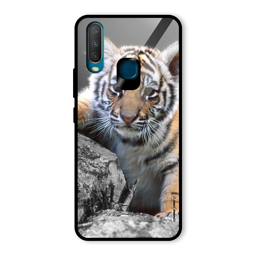 Animal Beauty Glass Back Case for Vivo U10