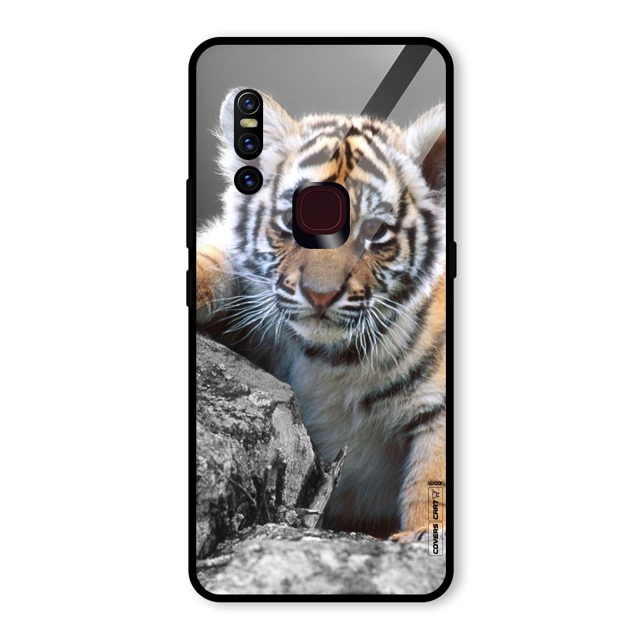Animal Beauty Glass Back Case for Vivo V15