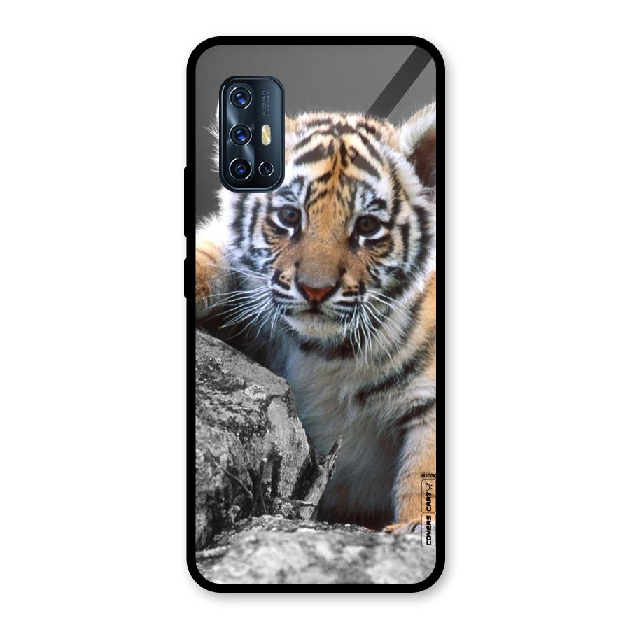 Animal Beauty Glass Back Case for Vivo V17