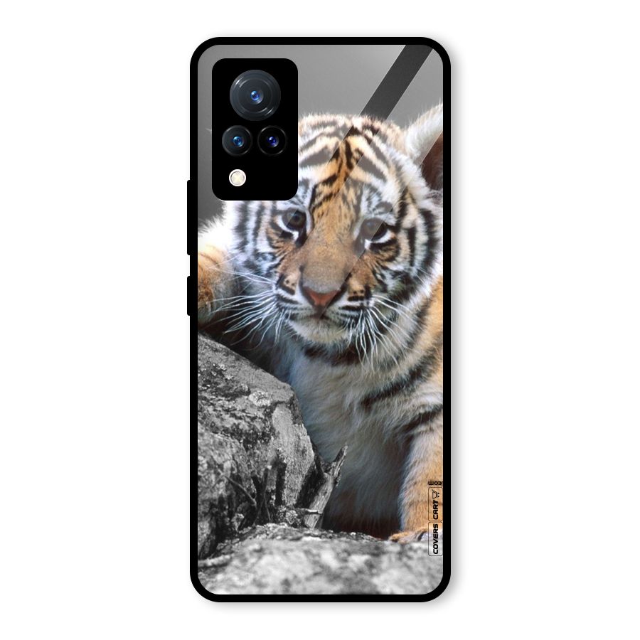 Animal Beauty Glass Back Case for Vivo V21 5G