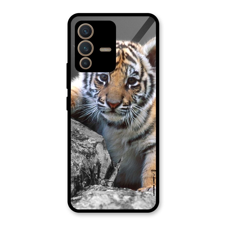 Animal Beauty Glass Back Case for Vivo V23 5G