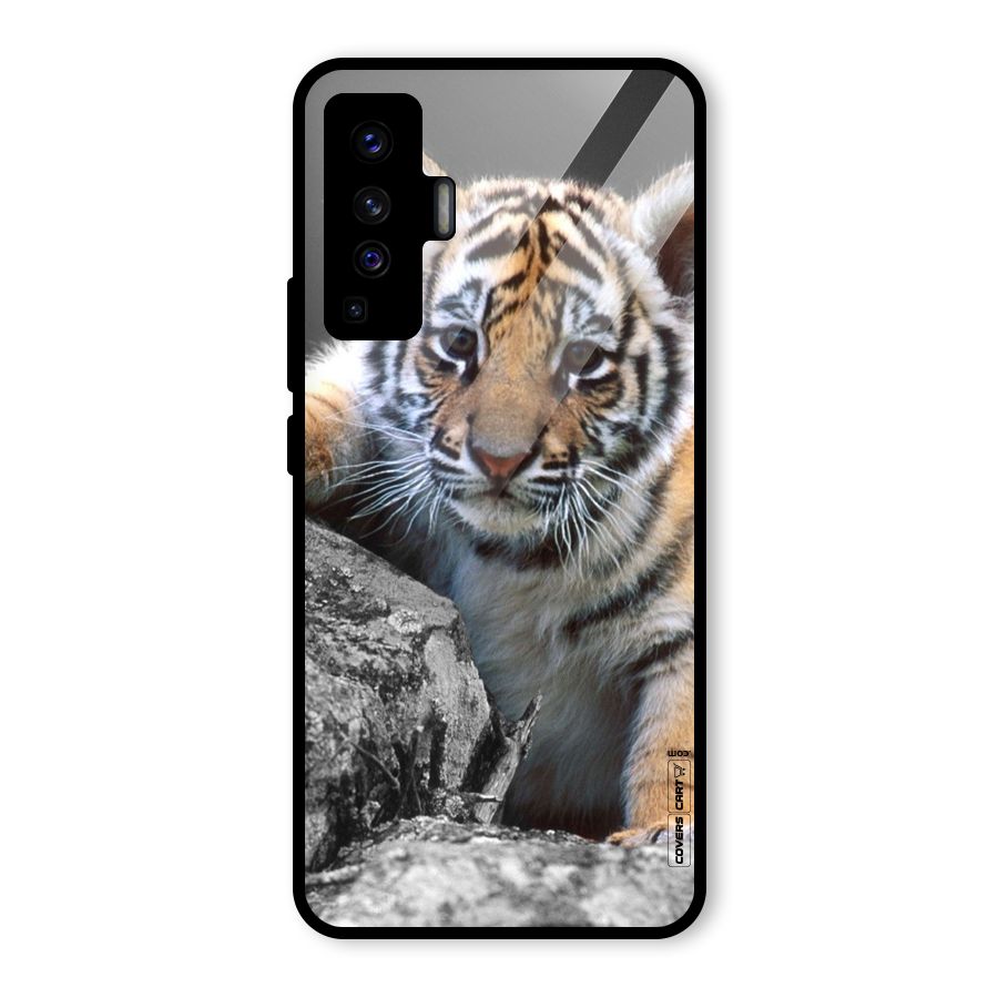 Animal Beauty Glass Back Case for Vivo X50