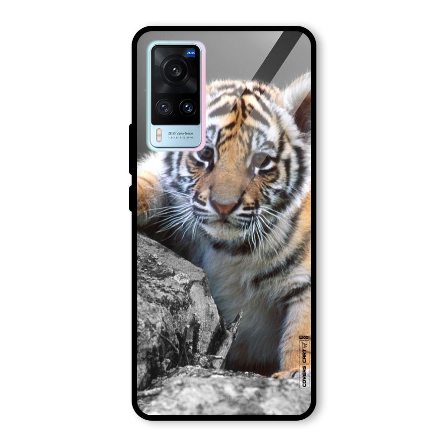 Animal Beauty Glass Back Case for Vivo X60