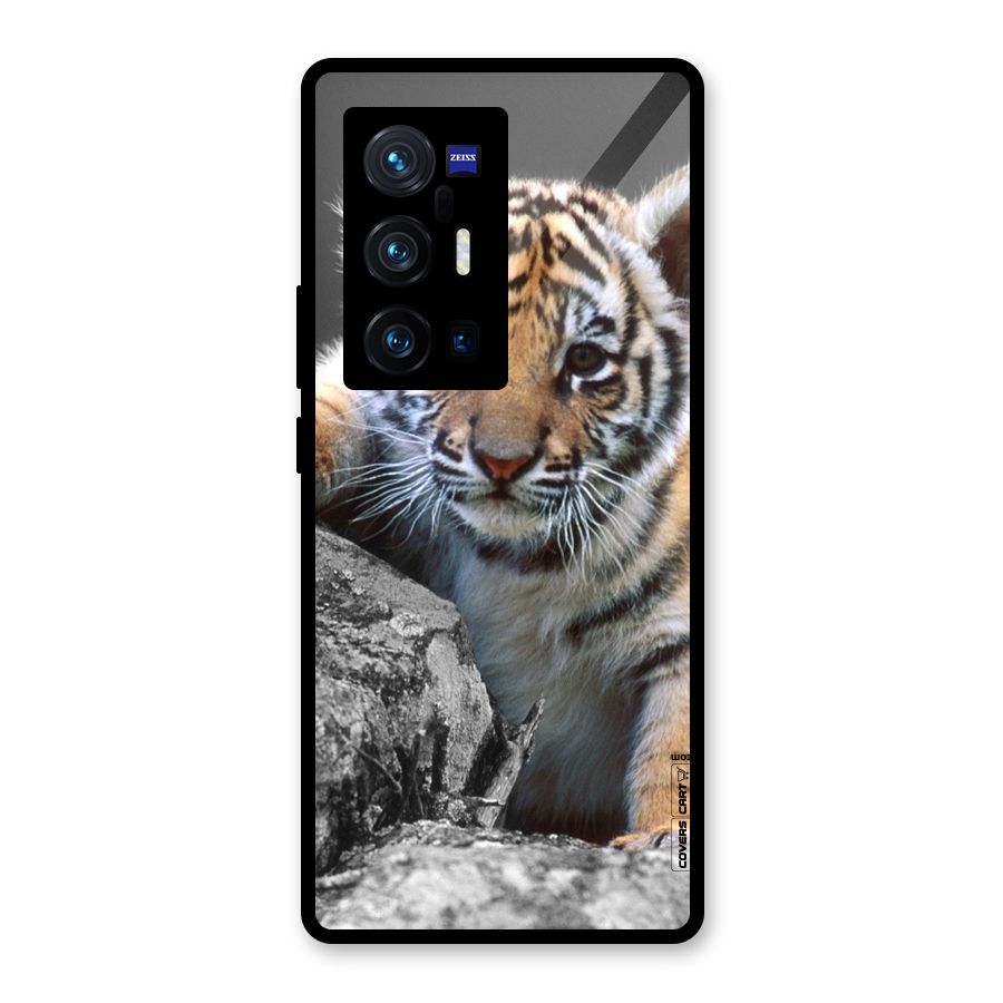 Animal Beauty Glass Back Case for Vivo X70 Pro Plus